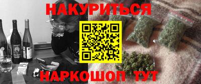 шишки Гай