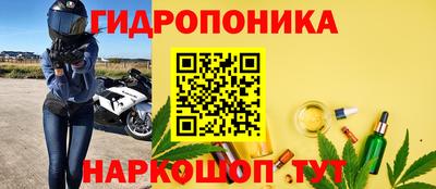 гидра Гатчина