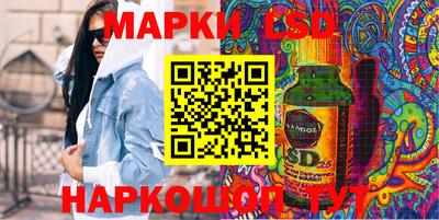 шишки Гай