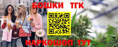 шишки Гай