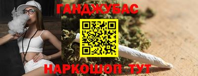 шишки Гай