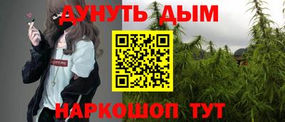 гидра Гатчина