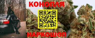 гидра Гатчина