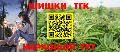 гидра Гатчина