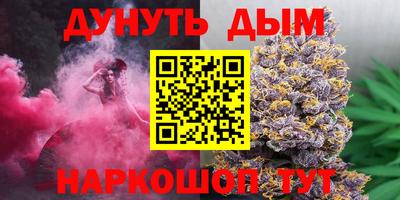 шишки Гай