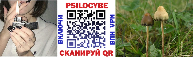 Галлюциногенные грибы Cubensis  Спасск-Дальний 