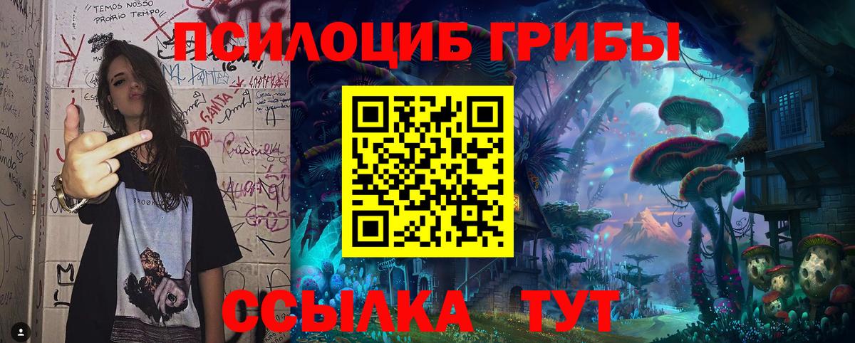 Галлюциногенные грибы Cubensis  Вход с VPN  Галлюциногенные грибы прущие грибы  Спасск-Дальний 